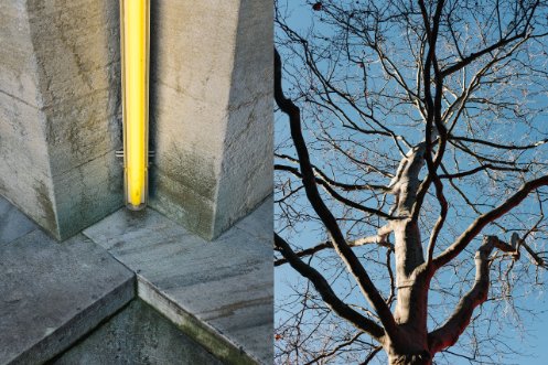 Links ist eine Nahaufnahme einer Leuchtröhre zu sehen. Rechts ein Baum ohne Blätter vor blauem Himmel.